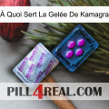 À Quoi Sert La Gelée De Kamagra 37